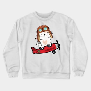 Cute Persian cat is in a vintage plane Crewneck Sweatshirt